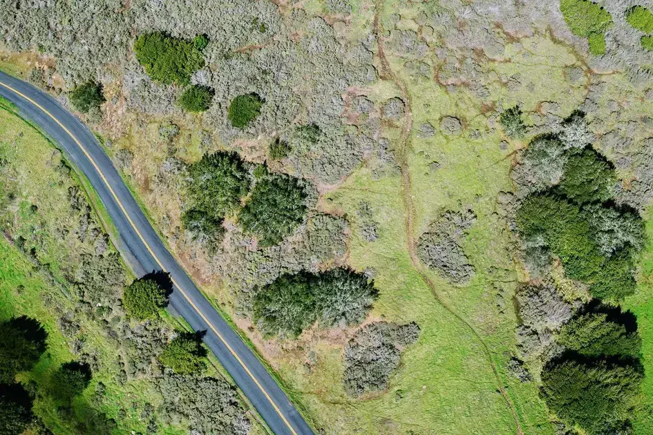 Benefícios do Levantamento Topográfico em Maringá